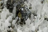 Pyrite, Sphalerite and Quartz Crystal Association - Peru #173420-3